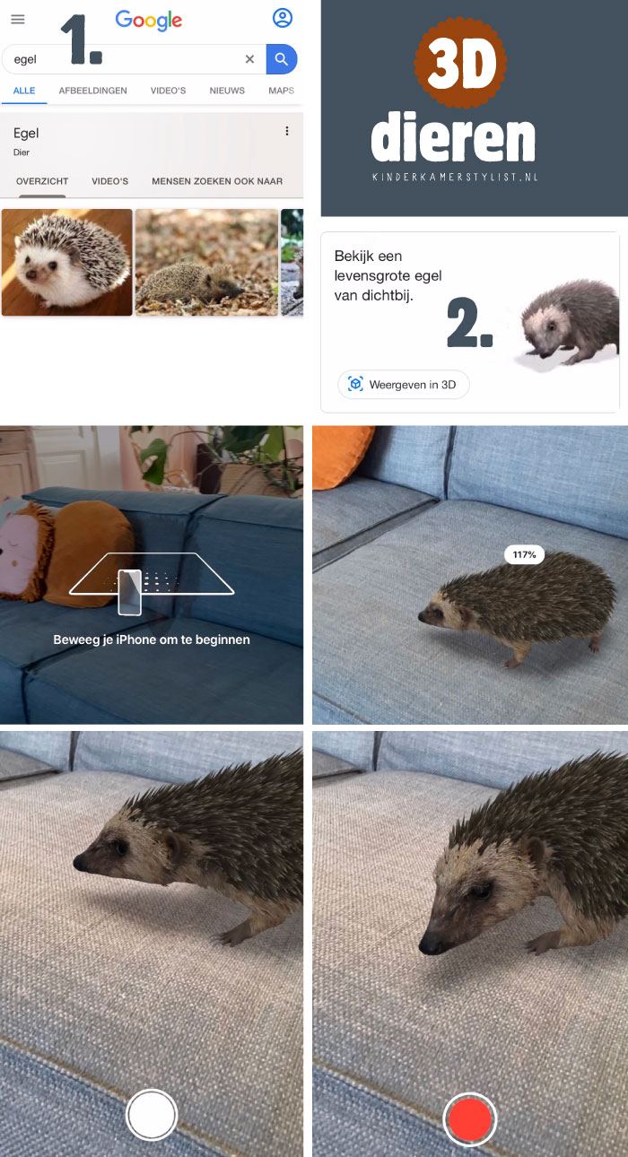 Google 3D dieren